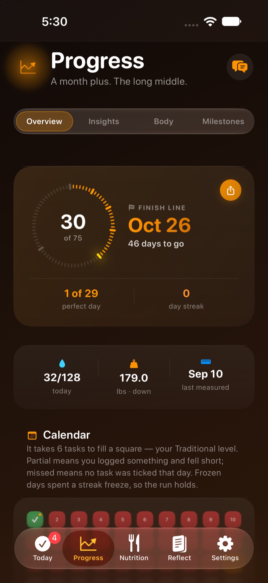 Progress overview with the day counter and finish date.