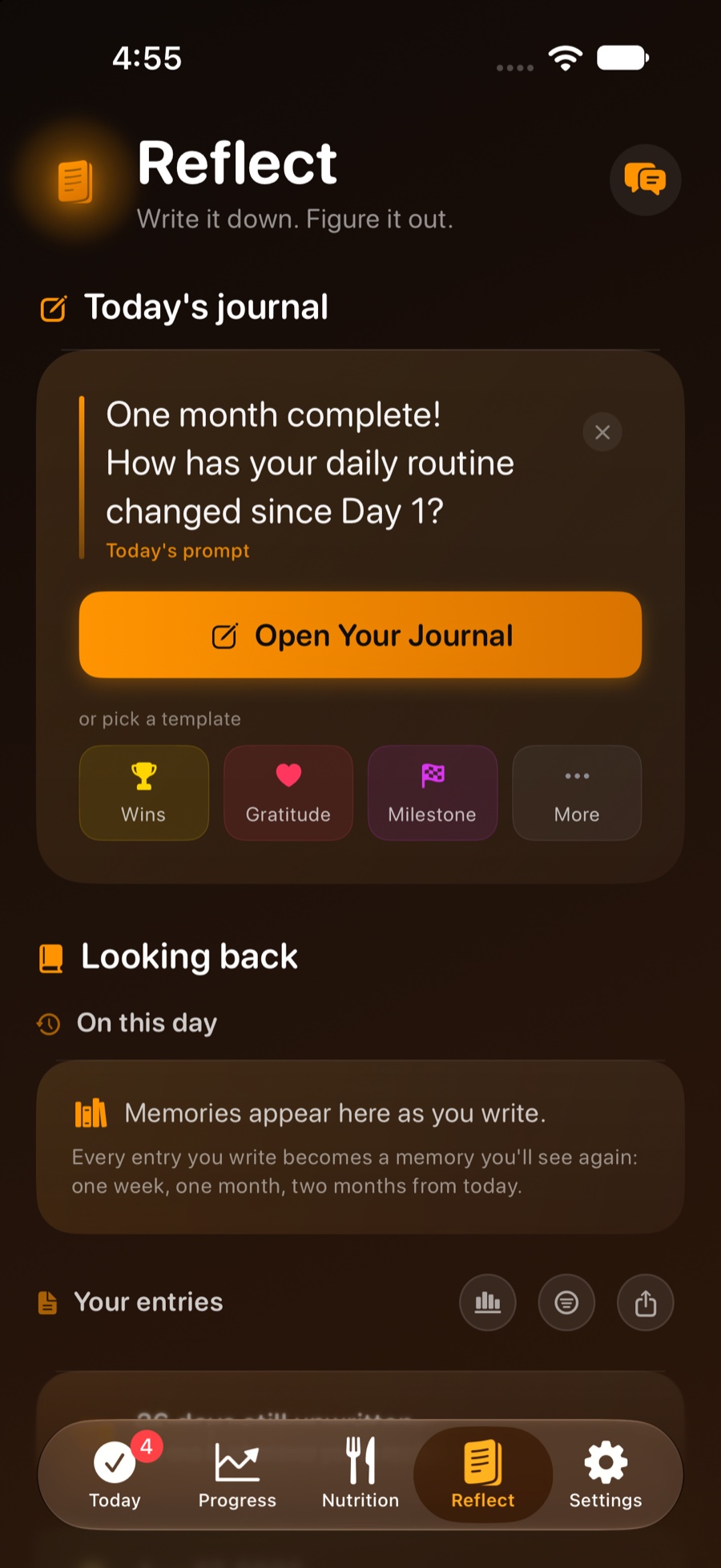 Reflect tab with the daily journal.